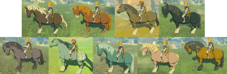 Horse coat color reference