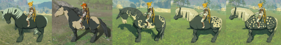 Horse coat pattern reference
