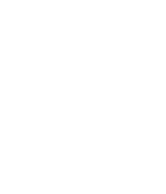 Sheikah crest