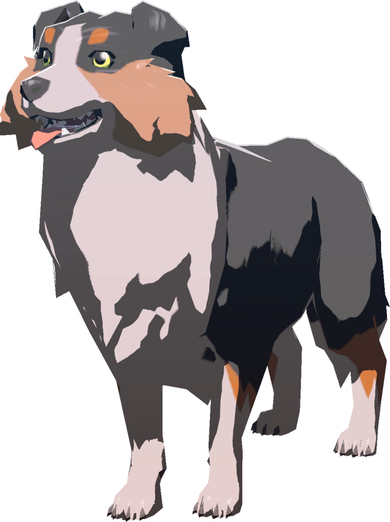 Dog
