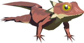 Hightail Lizard