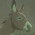 Donkey