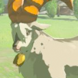 M.Goat