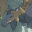 Moose