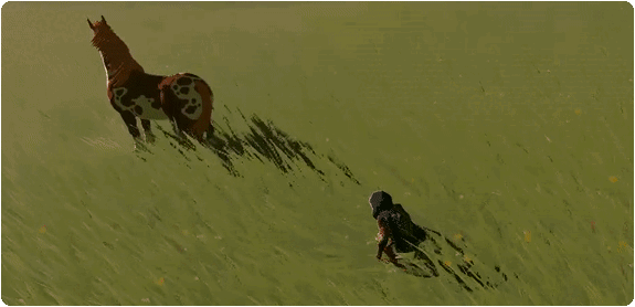 Link taming a wild horse in Hyrule