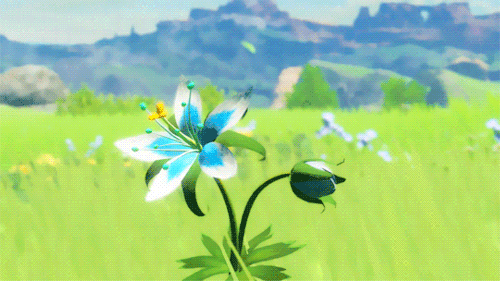 Silent Princess flowers in Hyrule